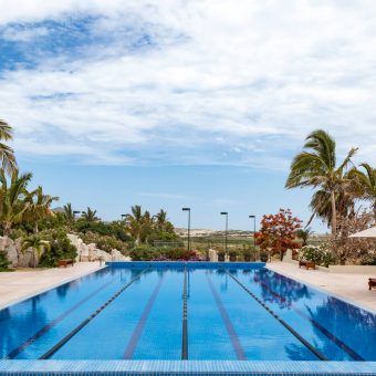 Lap & Wellness Pool – Diamante Beaches And Pools Lap And Wellness Pool At Diamante Beaches And Pools Inside The Fitness Center, Surrounded By Palm Trees And Baja Sunshine.