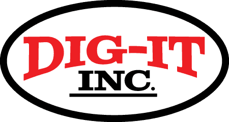 DII Logo FullColor web
