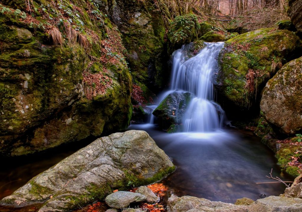 *Фотограф - Йордан Йорданов / Photo Shots /