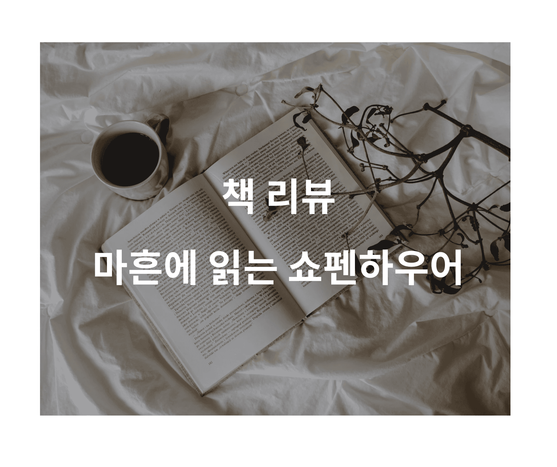 마흔에 읽는 쇼펜하우어 – 마흔의 마음이 가장 흔들릴 때 붙잡아 준 철학