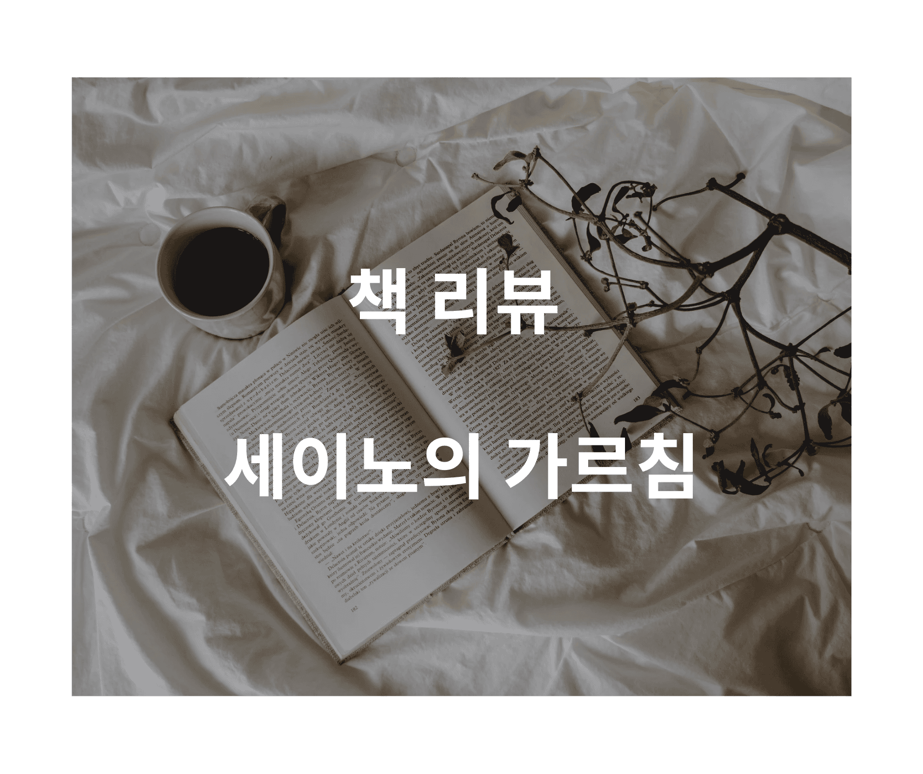 세이노의 가르침-삶을 다시 세우게 만든 단단한 한 권의 책