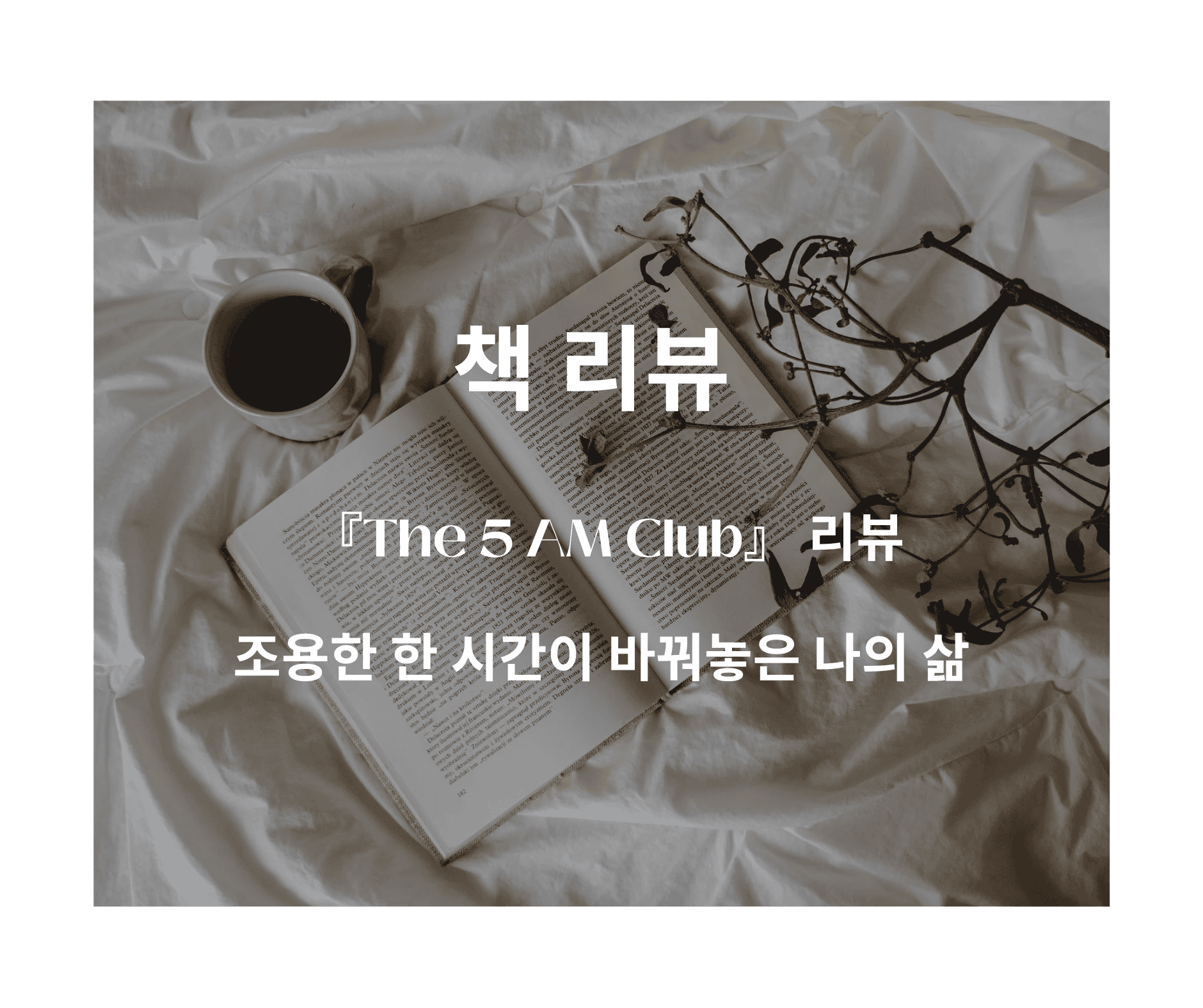 The 5 AM Club-조용한 한 시간이 바꿔놓은 나의 삶