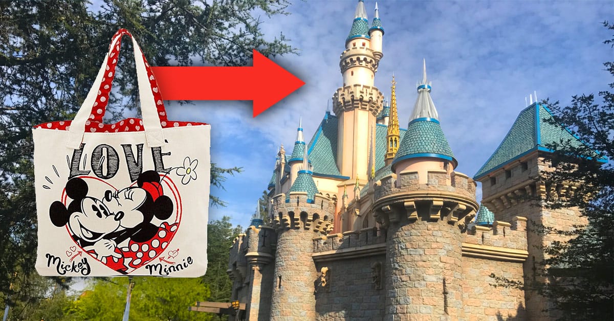 Bag Castle Disneyland
