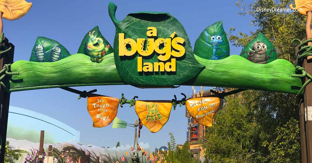 A Bug's Land