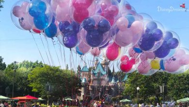 Castle Balloons