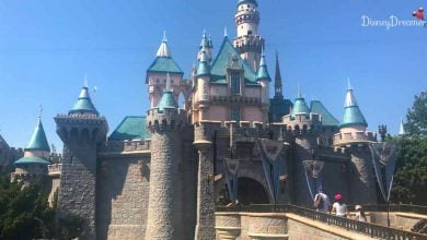 Disney Sleeping Beauty Castle