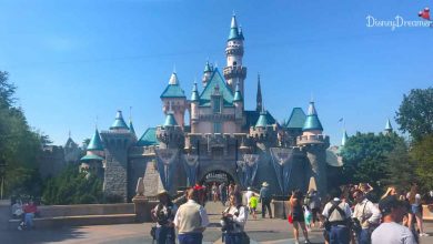 Castle Crowd