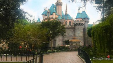 Castle