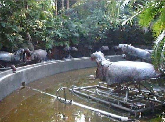 Jungle cruise