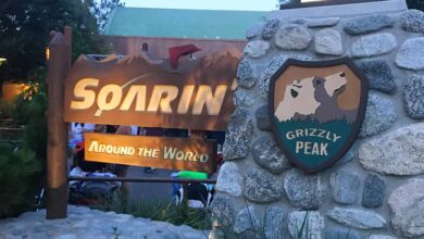 Soarin Around The World