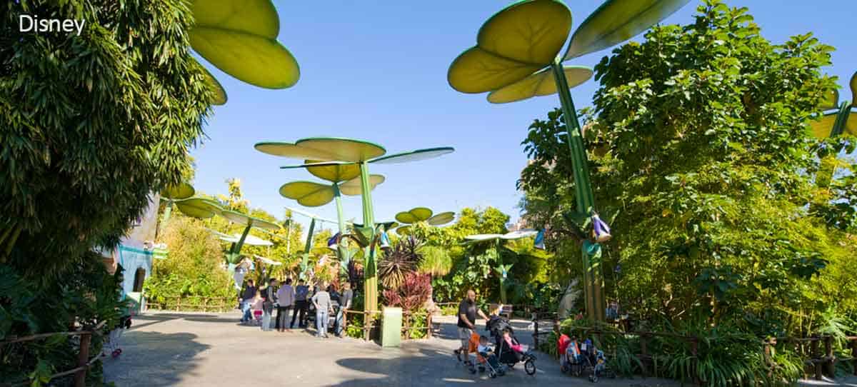 A Bug's Land