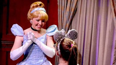 Cinderella Girl