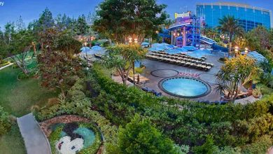 Aerial shot of Disneyland Hotel pool area featuring splashy water slides, lounges, and a Mickey-shaped garden for Disney fans.