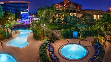 Disneyland Pools
