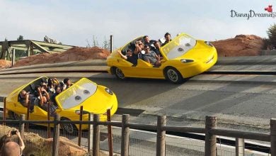 Radiator Springs Racers