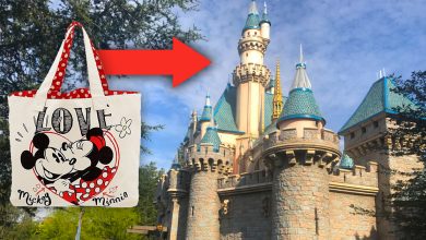 Bag Disneyland