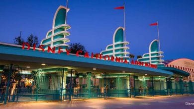 California Adventure Park