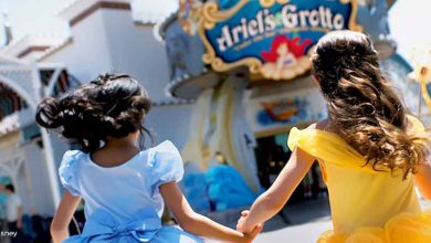 Ariel's Grotto