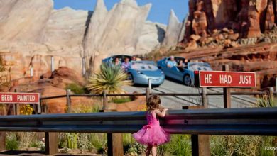 A child in a pink dress enjoys Radiator Springs Racers, watching Lightning McQueen and friends speed through Cars Land.