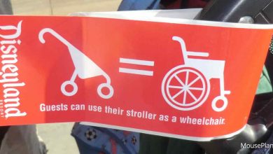 Stroller tag