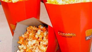 Cozy Cone PopCone