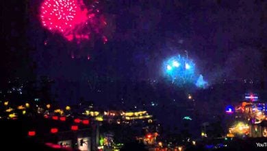 Disneyland Hotel Fireworks