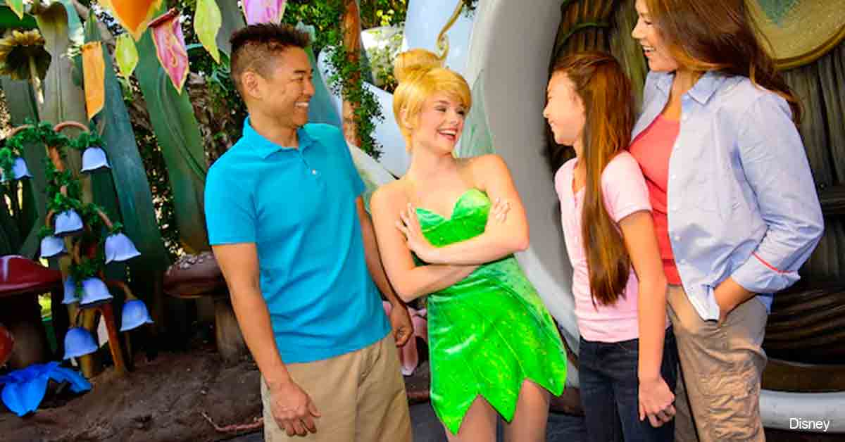Tinkerbell Pixie Hollow