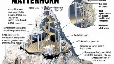Cutaway view of Disneyland’s Matterhorn Bobsleds, revealing thrilling tracks, ride supports, and themed engineering features.