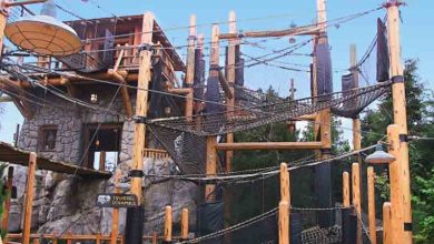 Redwood Creek Challenge