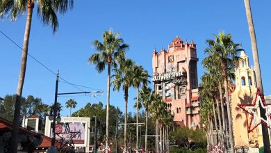 Palm trees and festive holiday stars adorn Sunset Boulevard, with the Hollywood Tower Hotel looming in the Disney’s Hollywood Studios skyline.