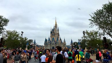 A large crowd of people walk toward Cinderella Castle at a Disney park on a cloudy day, with trees and decorative lampposts lining the pathway.