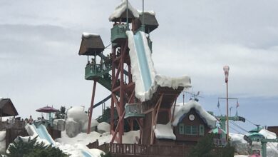 Summit Plummet at Disney's Blizzard Beach
