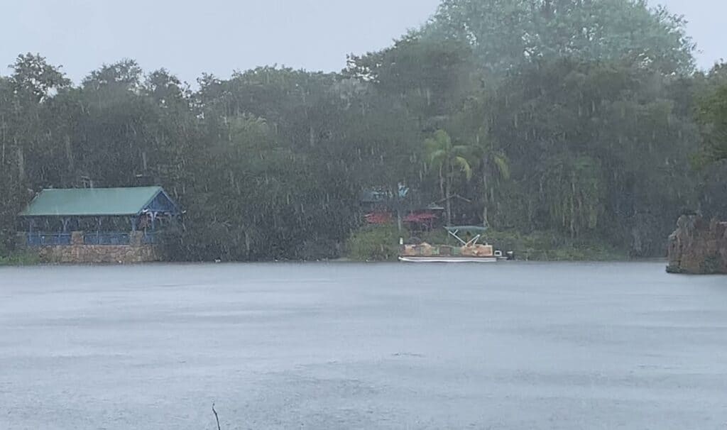Rain at Disney's Animal Kingdom