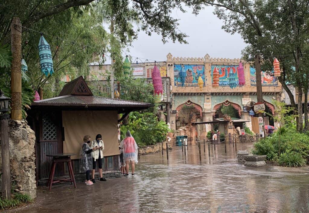 Rain at Disney's Animal Kingdom