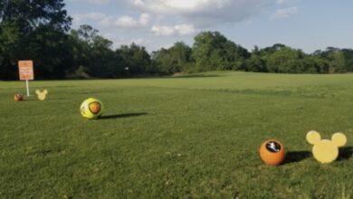 Soccer balls and Mickey Mouse markers dot a green field near whimsical trees and a playful Disney-themed sign in the distance.