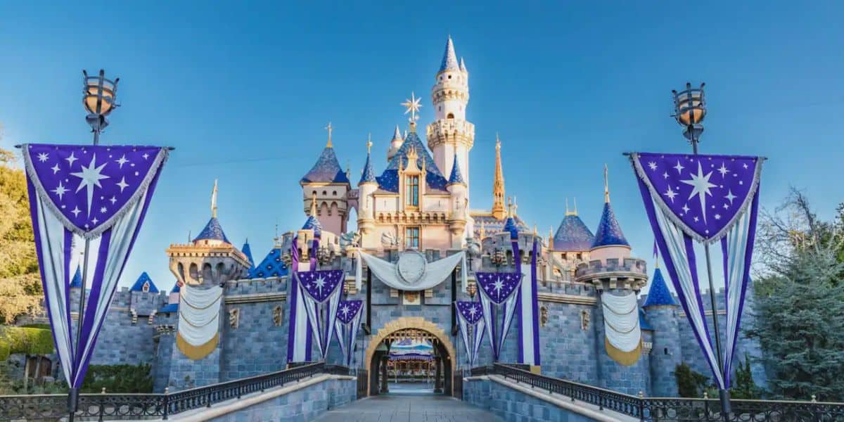 Disneyland Park Castle