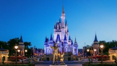 Magic Kingdom Cinderella Castle