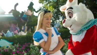 Alice and White Rabbit