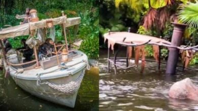 Jungle Cruise Accident