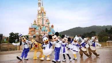 Disney characters Goofy, Pluto, Donald Duck, Mickey Mouse, Minnie Mouse, Daisy Duck, Chip, and Dale pose happily in front of a colorful castle at a Disney theme park, with a clear sky and greenery in the background.