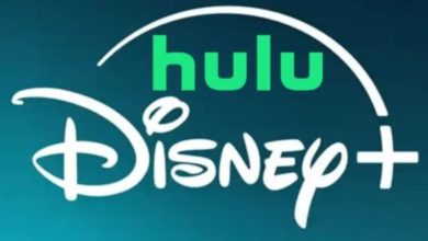 A combined logo featuring Disney+ and Hulu. The Disney+ logo is in its signature cursive font with a stylized arc above it. The Hulu logo in bright green, is positioned above and centered over the Disney+ logo. The background is a gradient of dark teal.