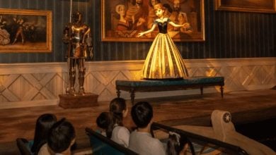 Guests ride Anna and Elsa's Frozen Journey