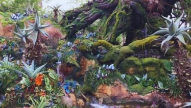 Pandora- The World of Avatar at Disney's Animal Kingdom