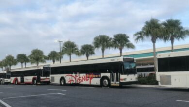 Disney Transport buses wait along a palm-lined street with Cinderella Castle in view, ready to whisk guests around Walt Disney World.