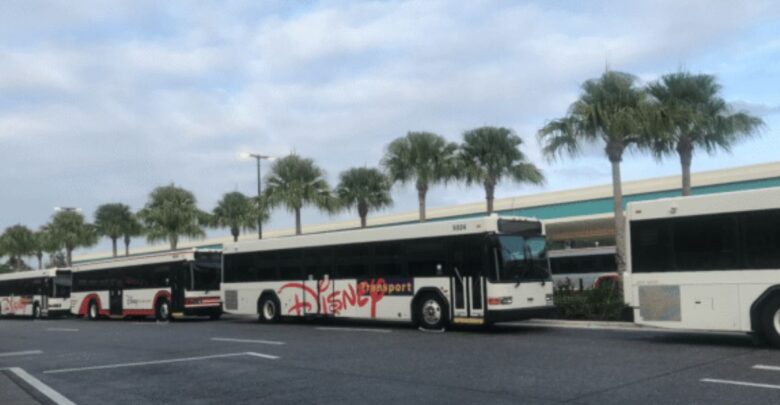 Disney Transport buses wait along a palm-lined street with Cinderella Castle in view, ready to whisk guests around Walt Disney World.