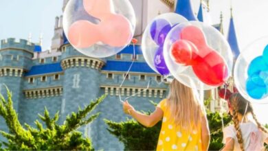 guests holds mickey-shaped balloons in front of cinderella castle in disney world's magic kingdom park. Disney World incident
