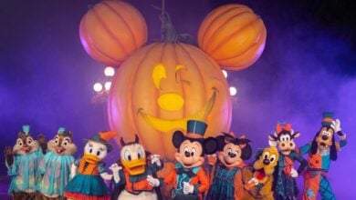 2023 Halloween looks for characters at Disneyland