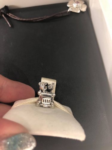 2018 Disney Pandora charms