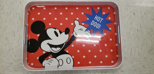 target disney outdoor wares