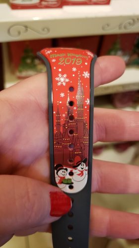 MagicBand